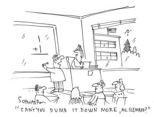 'Can't you dumb it down more, Ms. Slemrod?'