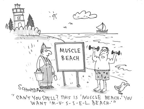 'Can't you spell? This is 'muscle beach.' You want 'M-U-S-S-E-L Beach.''