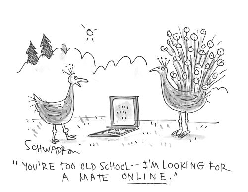 'You're too old school - I'm looking for a mate online.'