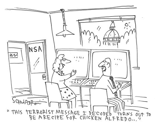 'This terrorist message I decoded turns out to be a recipe for chicken alfredo...'