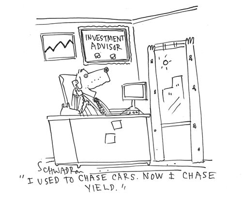 'I used to chase cars. Now I chase yield.'