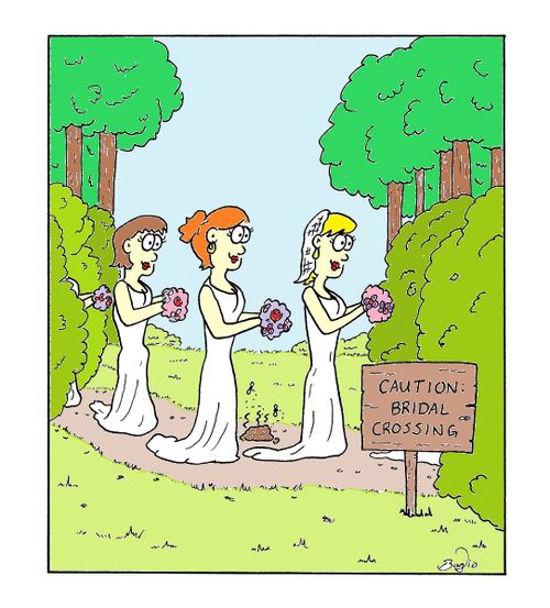 Caution: Bridal Crossing.