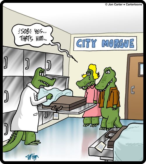 Suitcases in an alligator morgue.