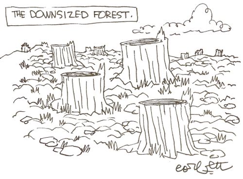 The Downsized Forest.