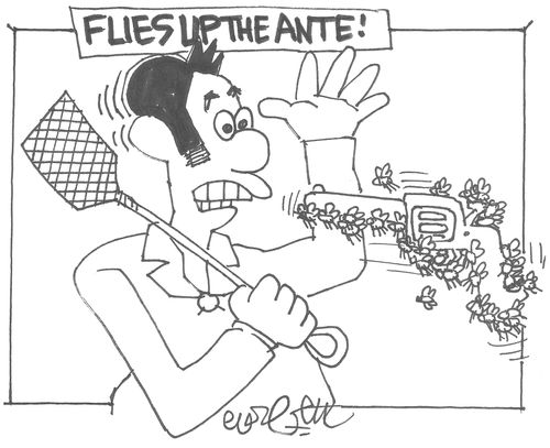 Flies up the ante!