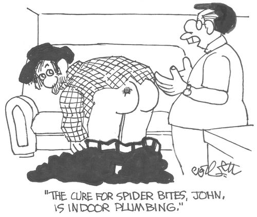 'The cure for spider bites, John, is indoor plimbling.'