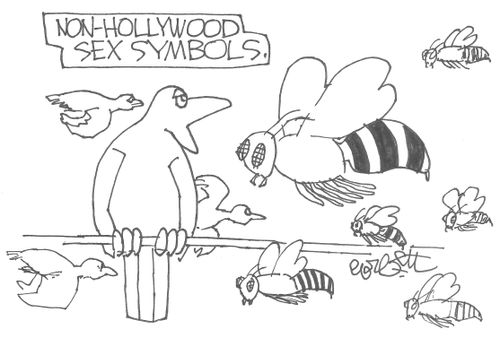 Non-Hollywood Sex Symbols.