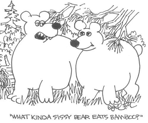 'What kinda sissy bear eats bamboo?'