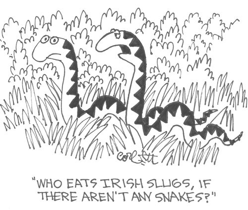 'Who eats Irish slugs, if there aren't any snakes?'
