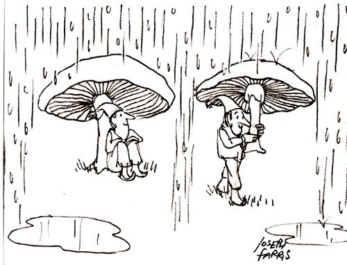 Toadstool Umbrella.