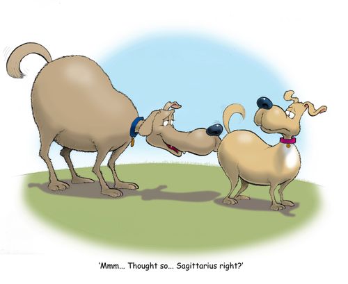 'Mmm... Thought so...Sagittarius right?'