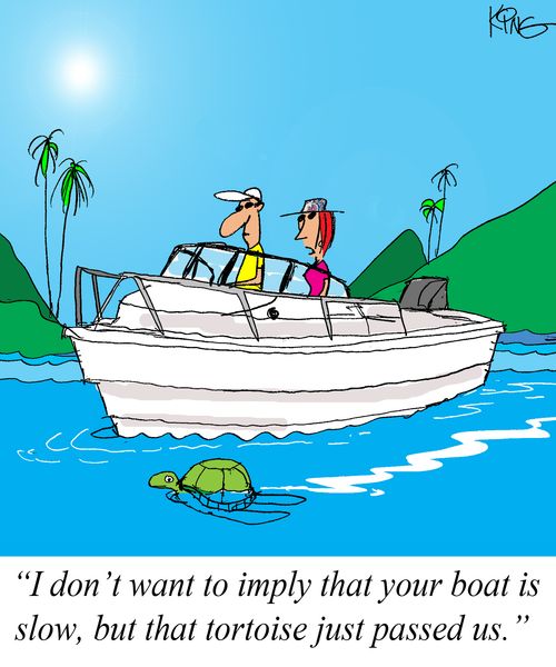 'I don't want to imply that your boat is slow, but that tortoise just passed us.'