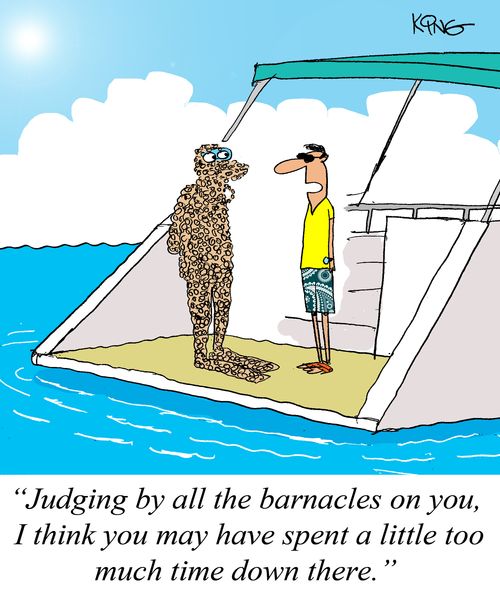 'Judging by all the barnacles on you, I think you may have spent a little too much time down there.'