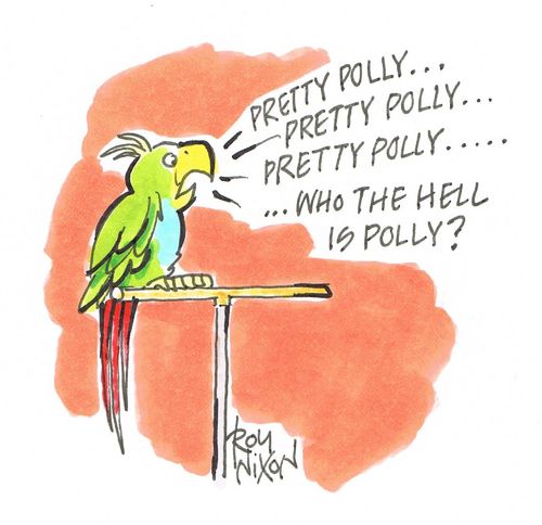 "Pretty Polly.....Who The Hell Is Polly?"
