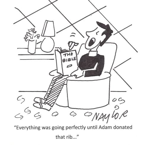 'Everything was going perfectly until Adam donated that rib...'