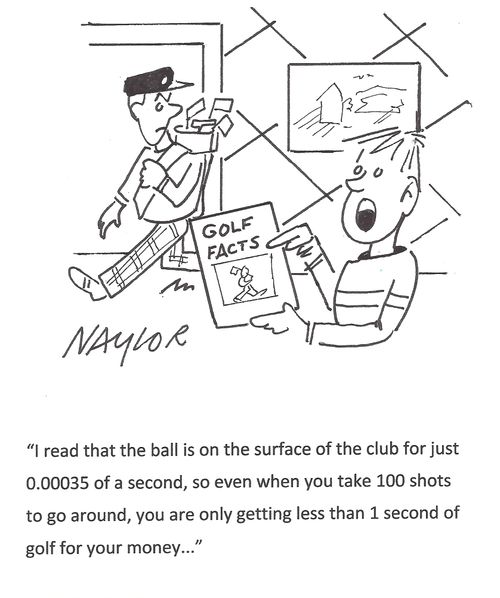 'I read that the ball is on the surface of the club for just 0.00035 of a second, so even when you take 100 shots to go around, you are only getting less than 1 second of golf for your money...' 