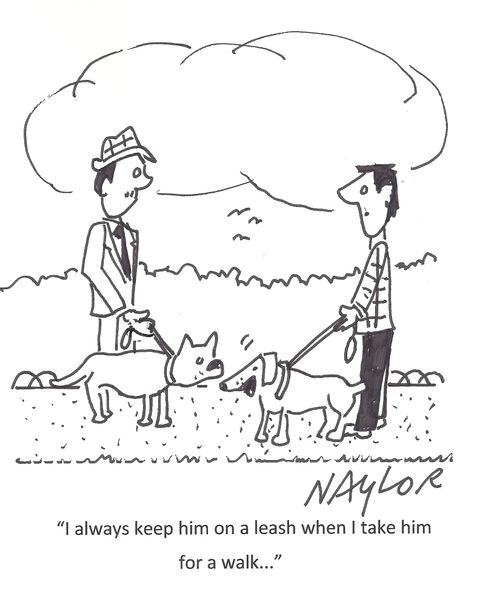 'I always keep him on a leash when I take him for a walk...'