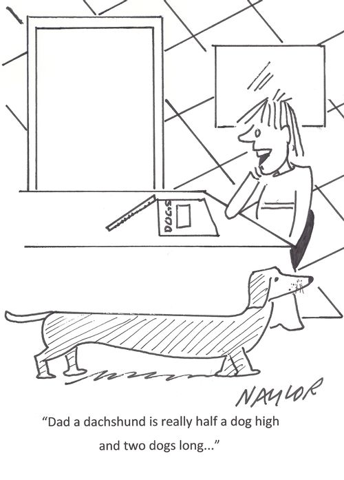 'Dad a dachshund is really half a dog high and two dog long...'