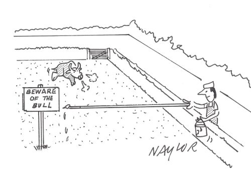 Beware of the Bull