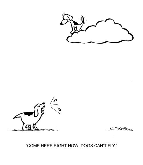 'Come here right now! Dogs can't fly.'