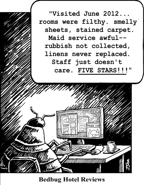 Bedbug Hotel Reviews