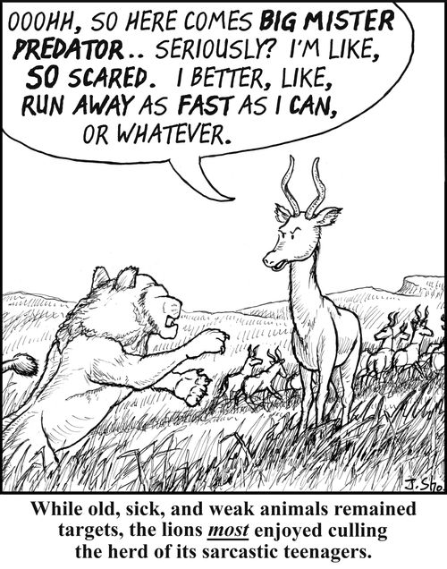 While old, sick, and weak animals remained targets, the lions most enjoyed culling the herd of its sarcastic teenagers.