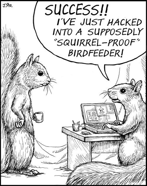 'Success! I've just hacked into a supposedly squirrel-proof birdfeeder!'
