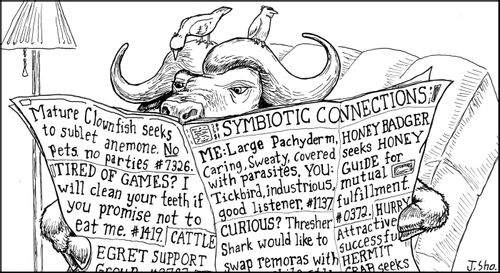 Symbiotic Connections