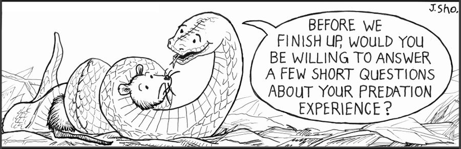 'Before we finish up, would you be willing to answer a few short questions about your predation experience?'
