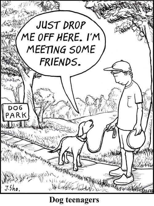 Dog Teenagers