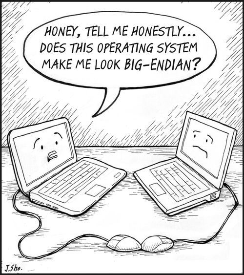 'Honey, tell me honestly...does this operating system make me look big-endian?'