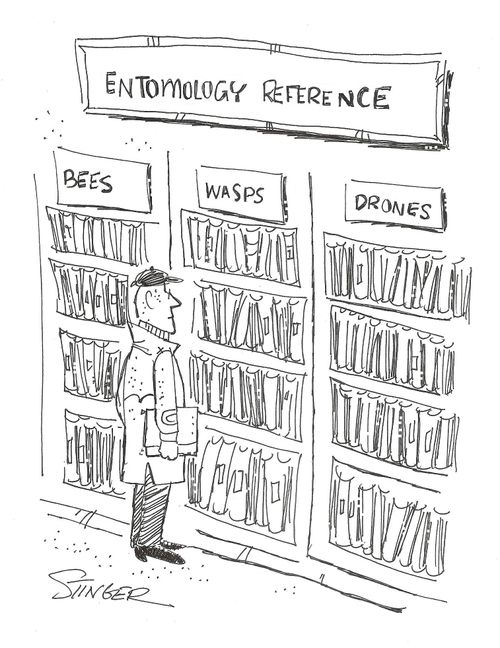 Entomology Reference: Bees, wasps, drones.