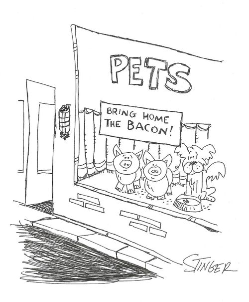 Pets: Bring home the bacon.