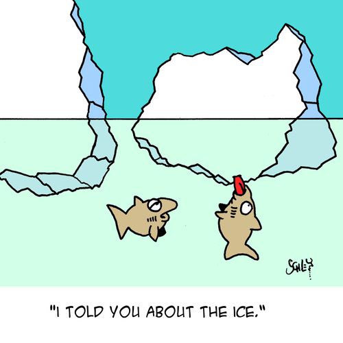 'I told you about the ice.'