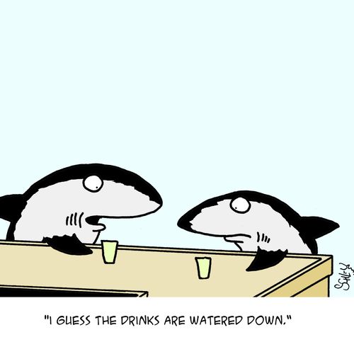 'I guess the drinks are watered down!'