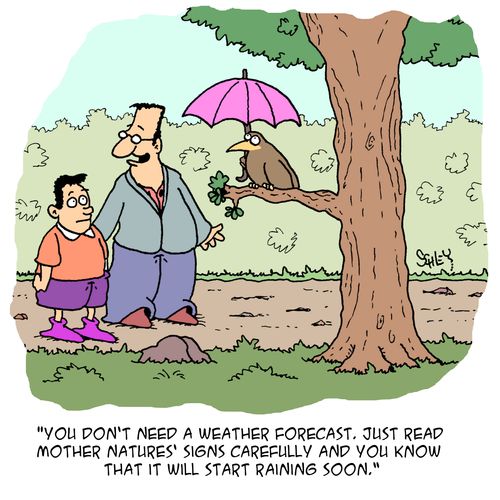 'You don't need a weather forecast. Just read mother natures' signs carefully and you know that it will start raining soon.'