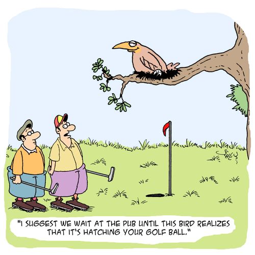 'I suggest we wait at the pub until this bird realizes that it's hatching your golf ball.'