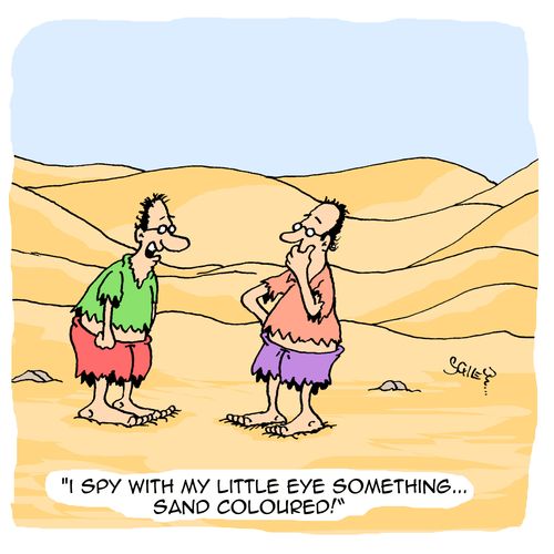 'I spy with my little eye something... sand coloured!'