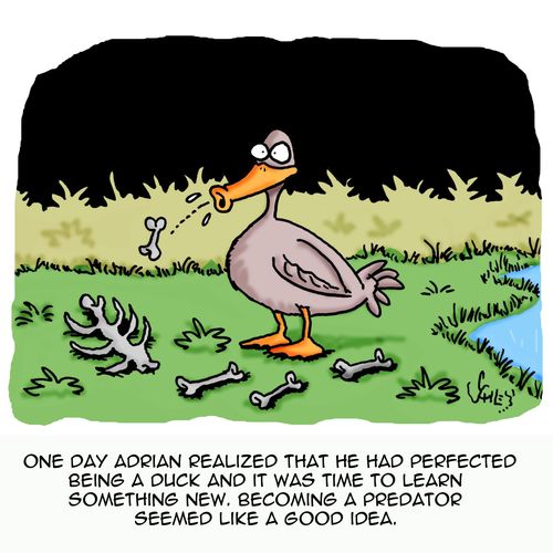 One day Adrian realized that he had perfected being a duck and it was time to learn something new. Becoming a predator seemed like a good idea.