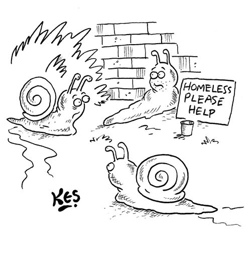 Snail without shell sits near sign: Homeless please help.
