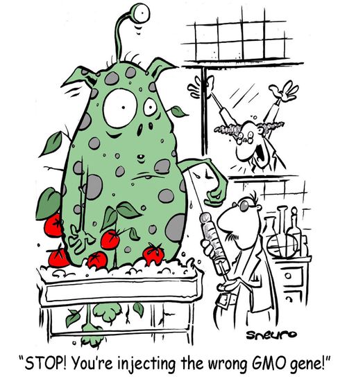 'STOP! You're injecting the wrong GMO gene!'