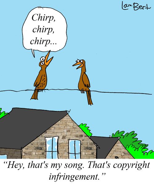 'Hey that's my song. That's copyright infringement.'