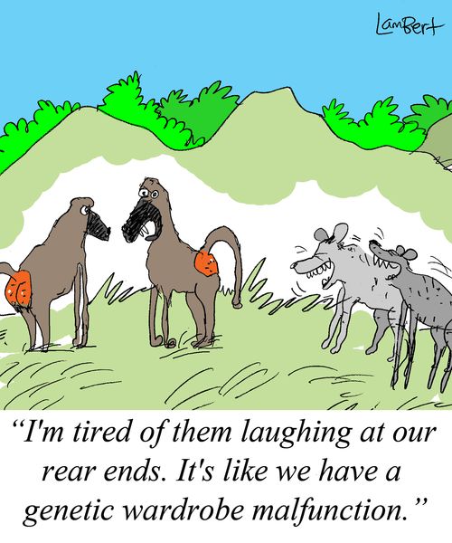 'I'm tired of them laughing at our rear ends. It's like we have a genetic wardrobe malfunction.'
