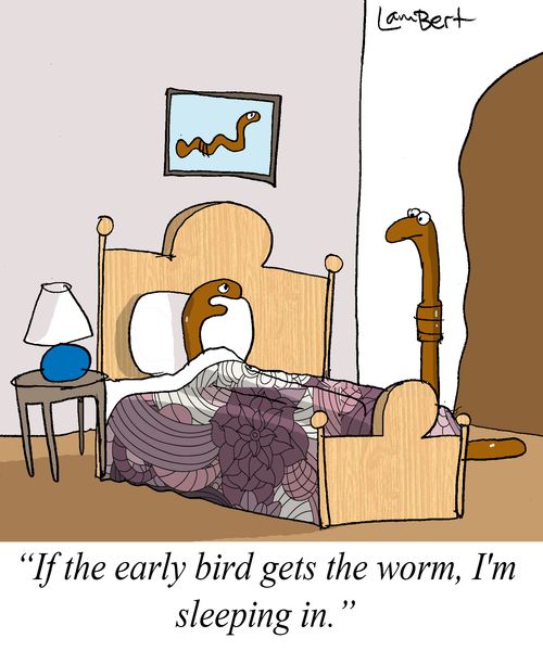 'If the early bird gets the worm, I'm sleeping in.'
