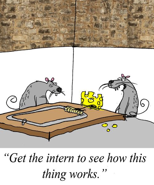 'Get the intern to see how this thing works.'
