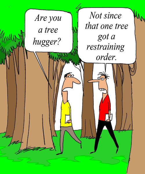 'Not since that one tree got a restraining order.'