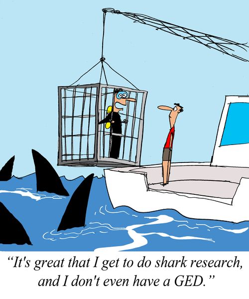 'It's great that I get to do shark research, and I don't even have a GED.'
