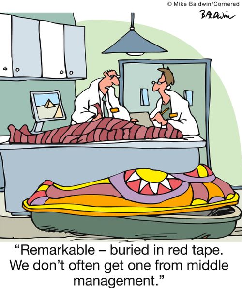 'Remarkable - buried in red tape. We don't often get one from middle management.'