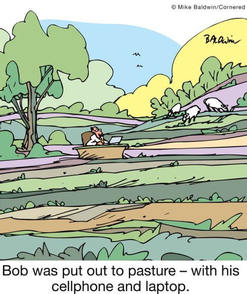 Bob was put out to pasture - with his cellphone and laptop.