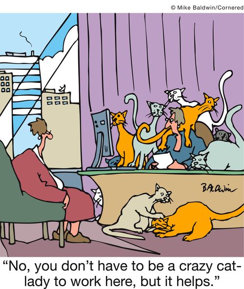 'No, you don't have to be a crazy cat-lady to work here, but it helps.'
